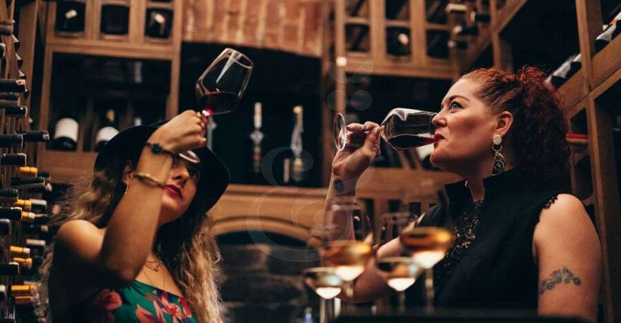 Istanbul: Wineries Tour With a Private Sommelier - Good To Know