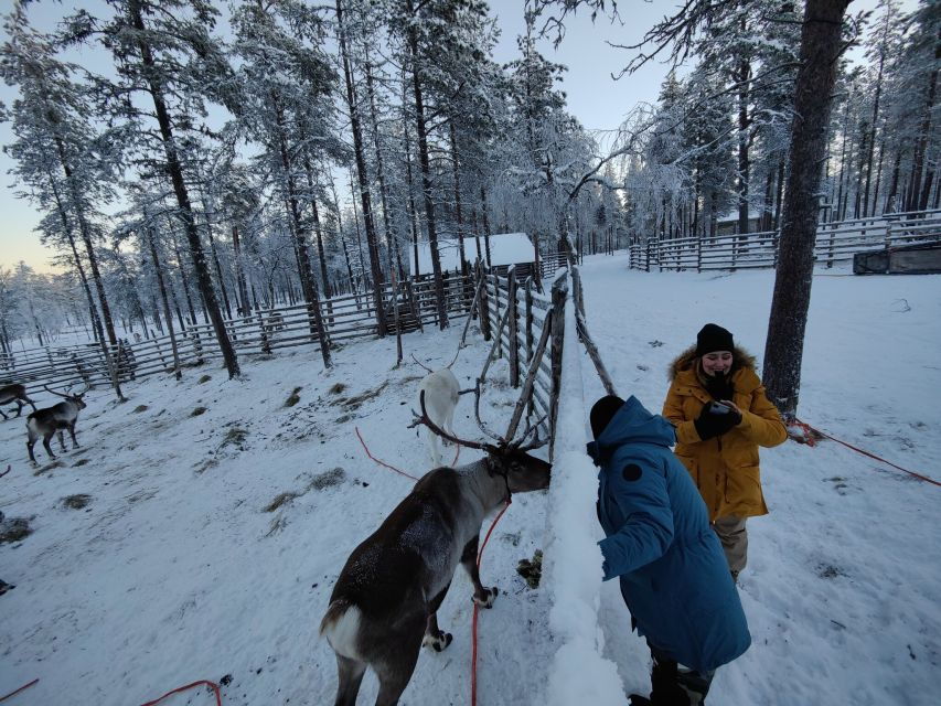 Ivalo: Northern Lights Holiday in Northern Lapland