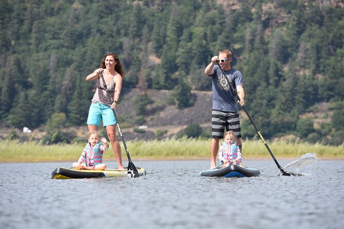 Jackson Full-Day Stand-Up Paddleboard (SUP) Rental