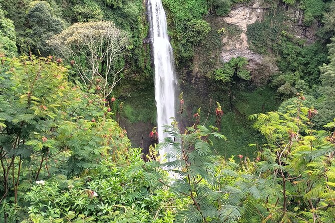Jakarta Bogor Botanical Garden, Waterfall and Rice Terrace, Lunch - Good To Know