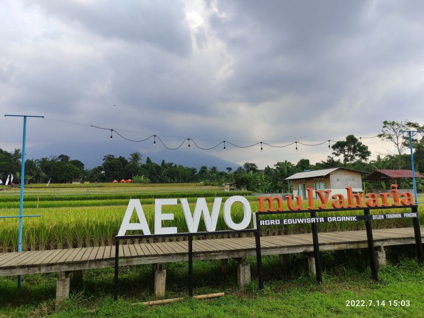 Jakarta : Botanical Garden, Waterfalls, and Rice Fields Tour