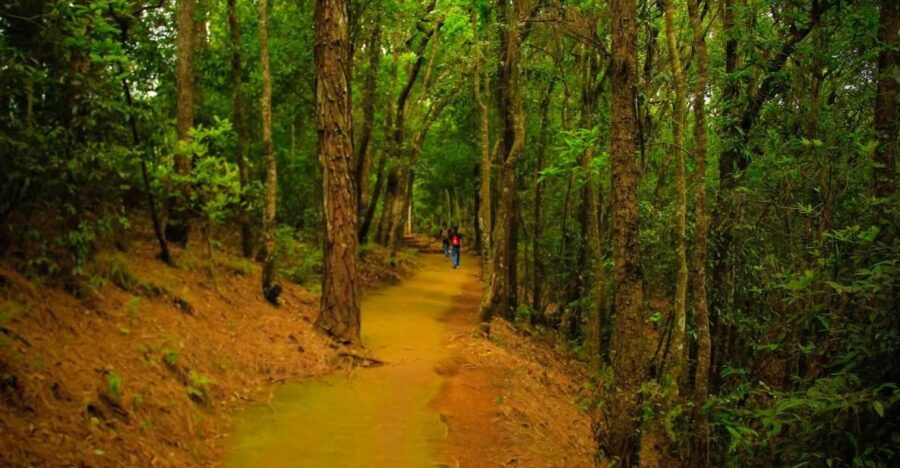 Jamacho Day Hike in Kathmandu - 1 Day - Good To Know