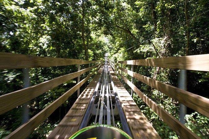 Jamaica Bobsled Adventure (Mystic Silver) Tour From Kingston