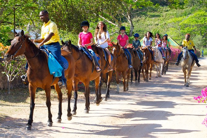 Jamaica Zipline and Horseback Ride N Swim Adventure Tour From Ocho Rios - Tour Highlights