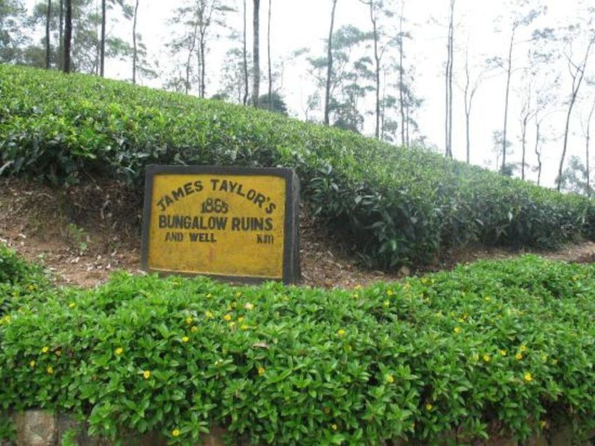 James Taylor's Enchanting Tea Story Tour From Kandy - Good To Know