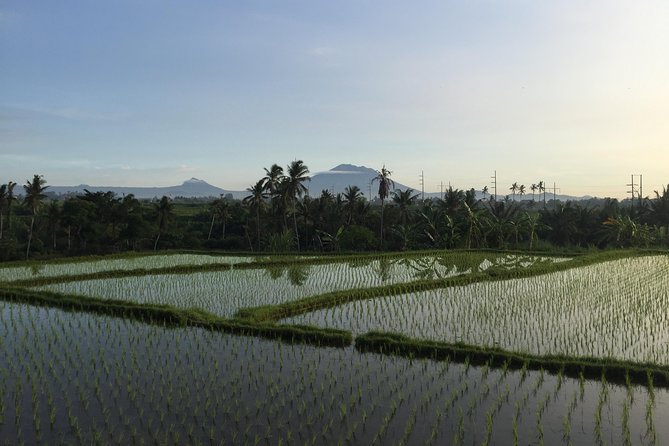 Jatiluwih Green Land Tour Including Tanah Lot and Ulun Danu Bratan Temple - Tour Highlights