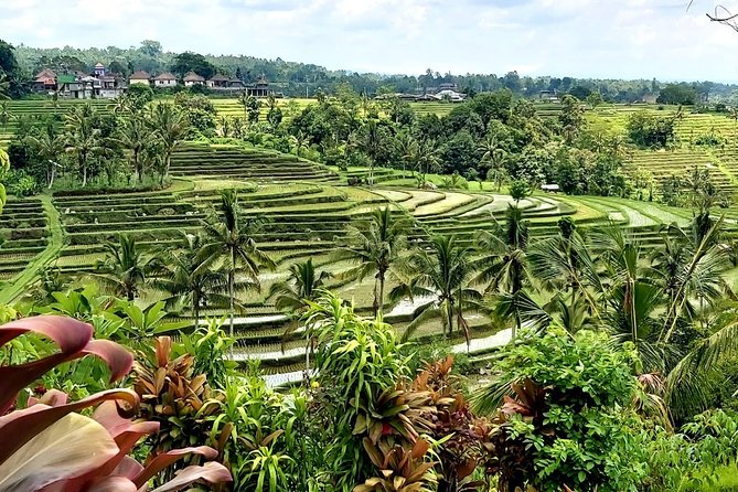 Jatiluwih Rice Terrace and Tanah Lot Sunset Tour - Good To Know