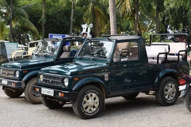 3 Best Safari Tours In Sasan Gir