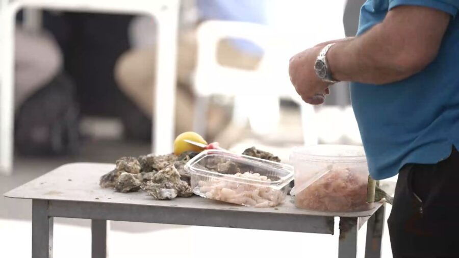 Jerez and Cadiz Private Tour From Seville - Good To Know