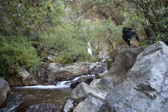 Jharipani Waterfall and Picnic Half Day Hike