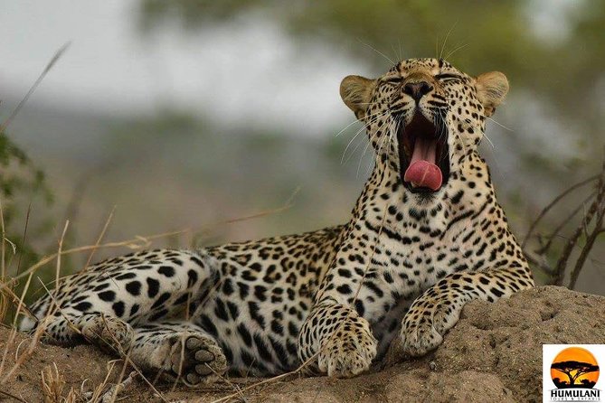 Johannesburg 2-Day Kruger Park Tour (Feb )