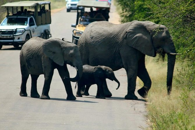 Johannesburg History Tour and Kruger National Park in 6 Days