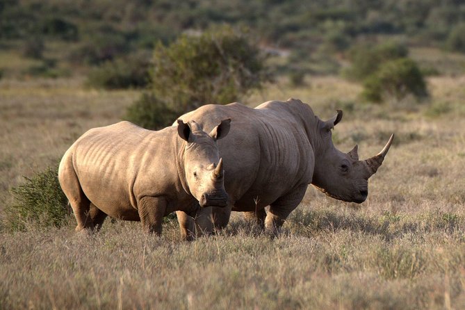 Johannesburg to Cape Town 10-Day Private Safari Tour