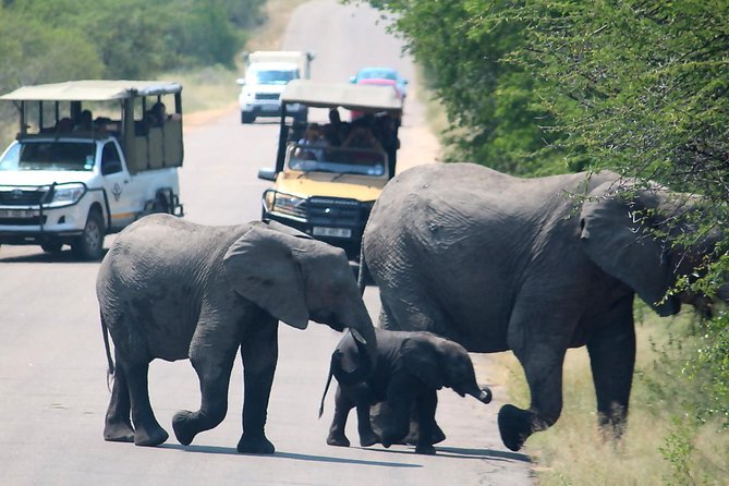 Johannesburg Tour and Cape Town Tour in 10 Days Best Tour