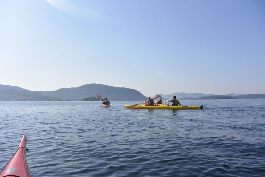 Jørpeland: Guided Fjord Tour by Kayak