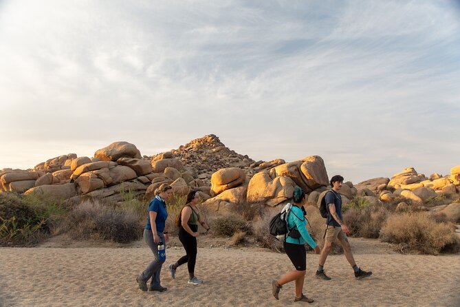 Joshua Tree Full Day Private Tour and Hike - Good To Know