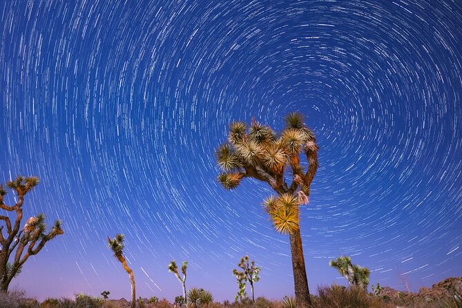 Joshua Tree National Park - Private, Custom Adventure W/ Pro Photography - Good To Know