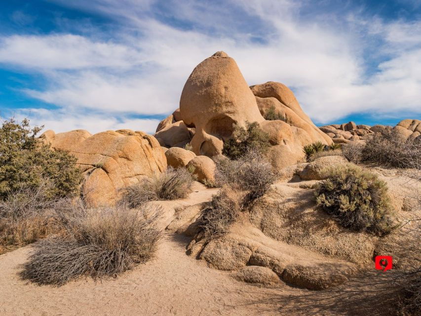 3 Best Self-Guided Tours In Joshua Tree National Park