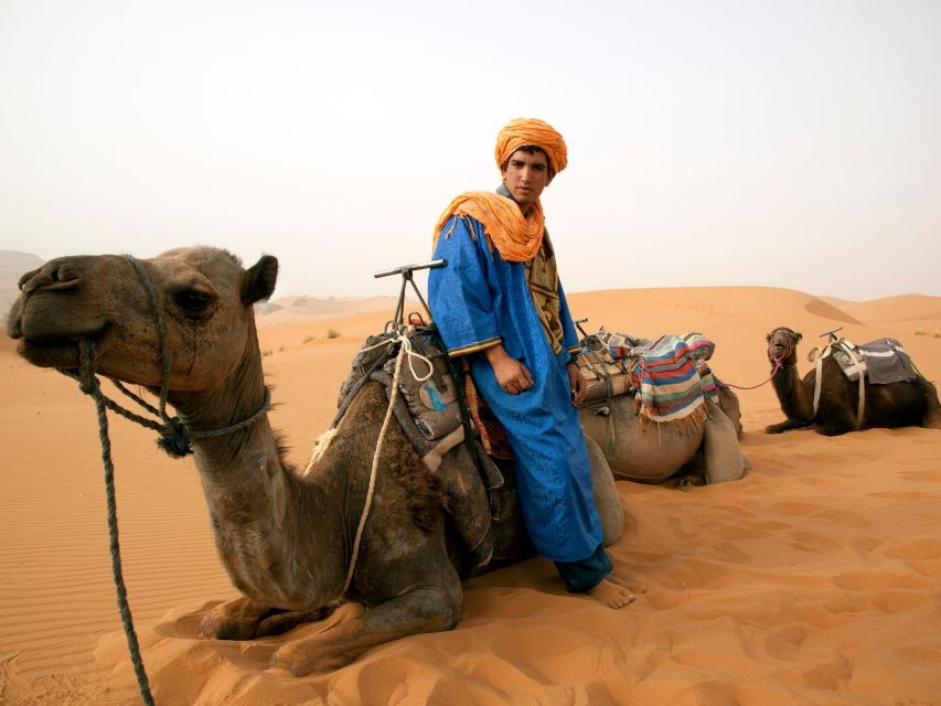 Journey to the Heart of the Desert: Two Days Tour From Ouarzazate - Good To Know