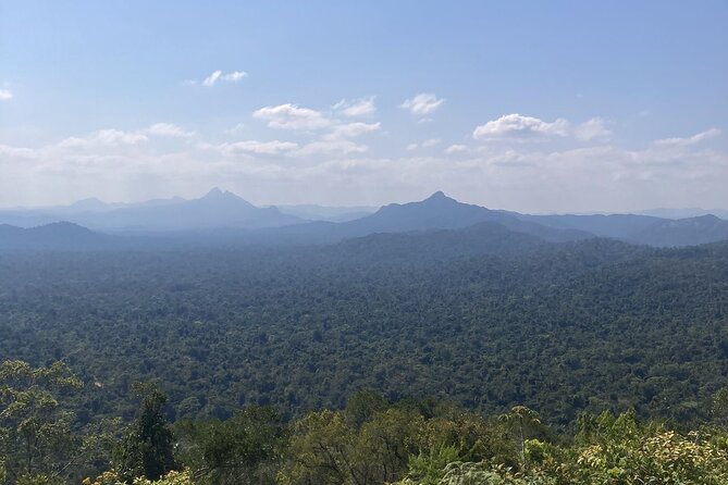 Jungle Adventure: Hike and Tube Excursion - Good To Know