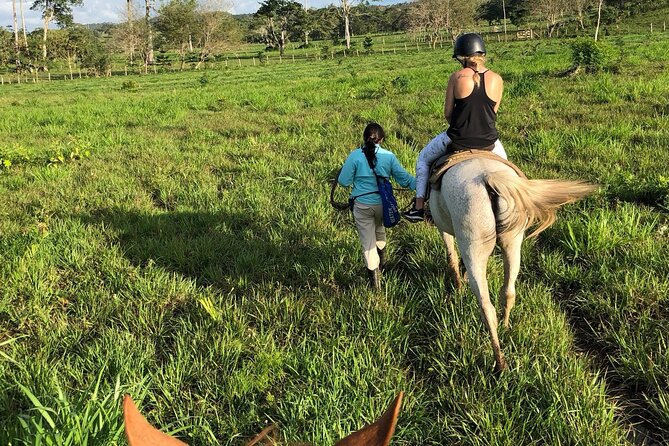 Jungle and Farm Horseback Riding Adventure!