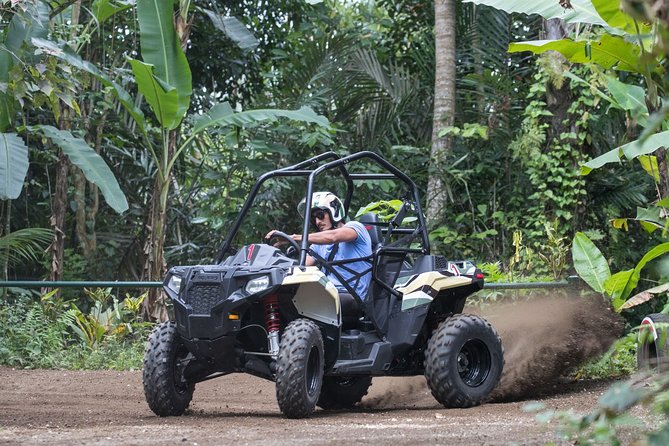 Jungle Buggy Adventure and Ubud Tour - Good To Know