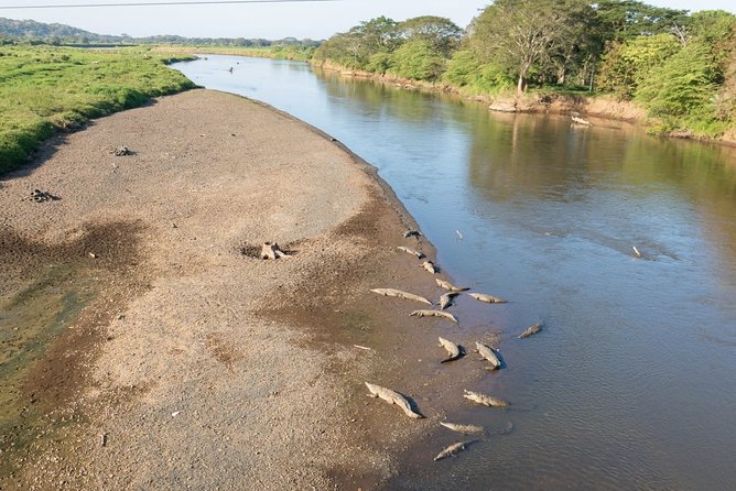 4 Best Safari Tours In Puntarenas