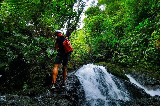 Jungle Hike With Canyoning and Rappelling in Drake Bay - Good To Know