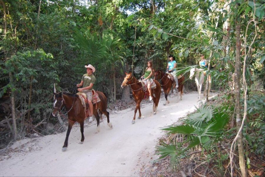 Jungle Ziplining & Horseback Riding Adventure Experience - Good To Know