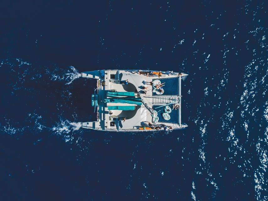Kaanapali: Whale Watching Cruise With Open Bar - Good To Know