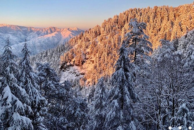 Kaflani Day Hike – Mussoorie