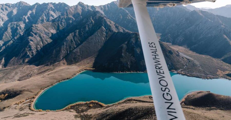 Kaikoura: Extended Flight Whale Watching & Mountain Tour