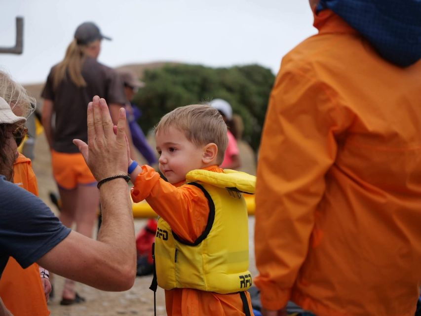 Kaikoura: Guided Family Kayaking Adventure - Good To Know