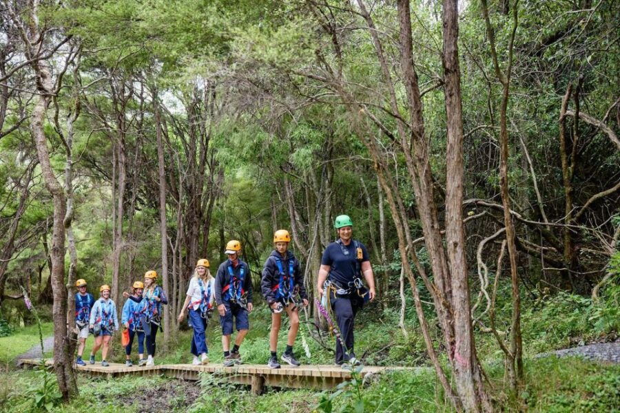 Kaikōura: Zipline and Native Forest Adventure Trip - Good To Know