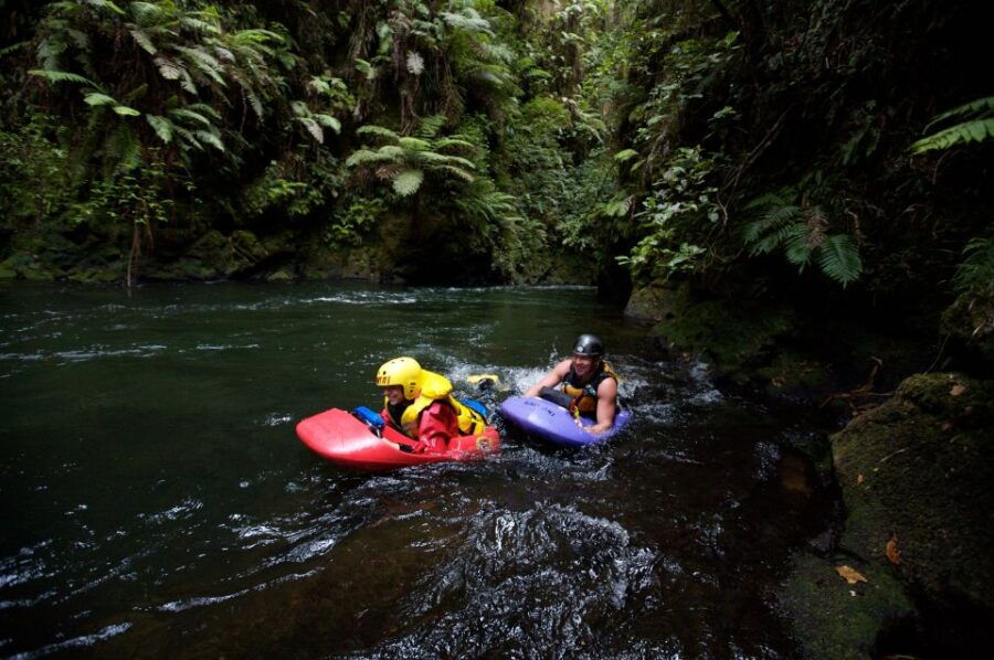 Kaituna River: 3.5-Hour White Water Sledging Experience - Good To Know