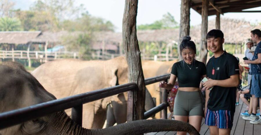 Kanchanaburi: Elephant Sanctuary & Erawan Waterfall Tour