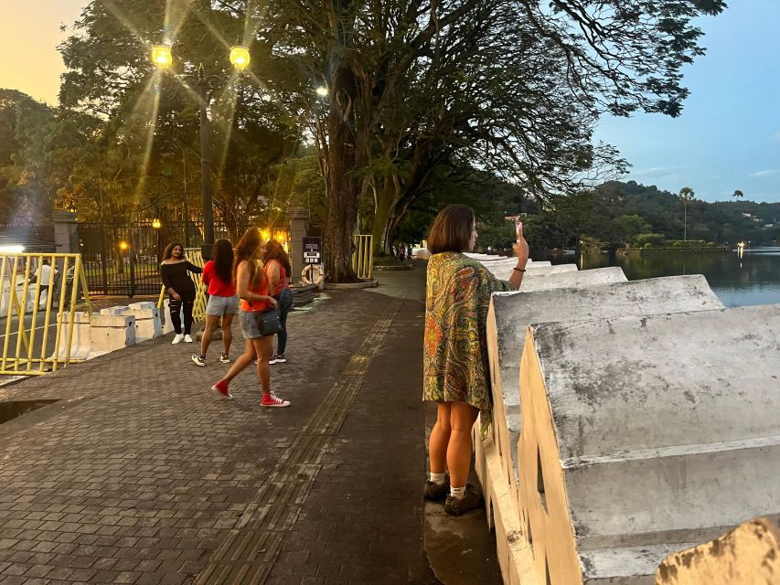 Kandy and Pinnawala Day Tour From Galle Bentota Hikkaduwa