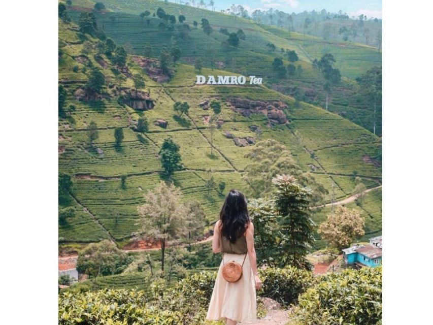 Kandy to Nuwaraeliya Drop Tour By Local Tuk Tuk