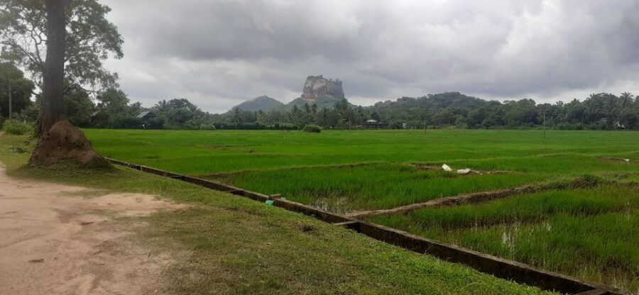 Kandy to Sigiriya Day Tour