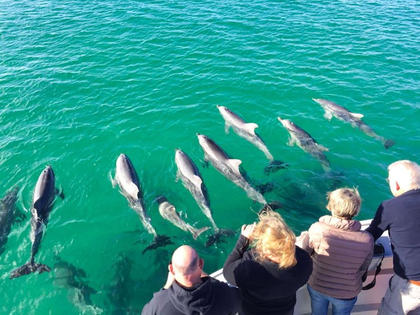 Kangaroo Island: 75-Minute Coastal Safari