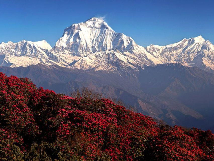 Kathmandu: 3 Day Ghorepani Poon Hill Guided Trek