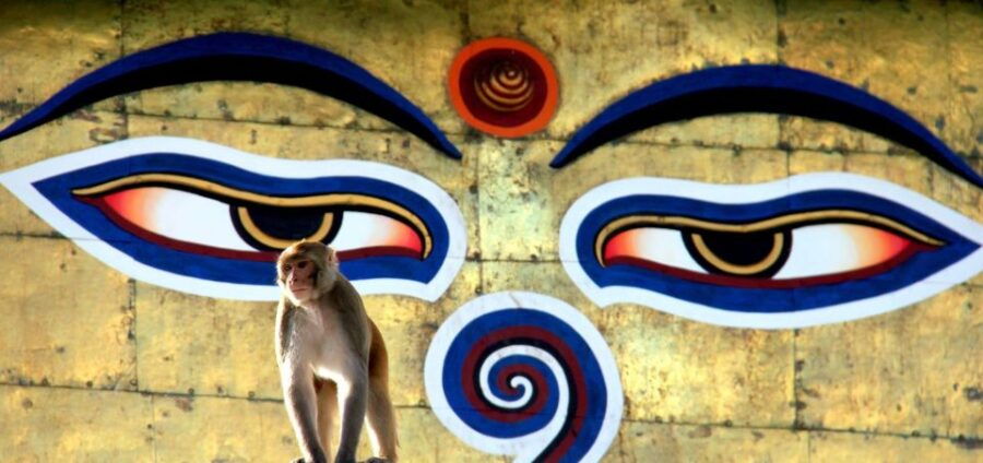 Kathmandu: 7 Unesco World Heritage Sites Private Day Tour - Good To Know