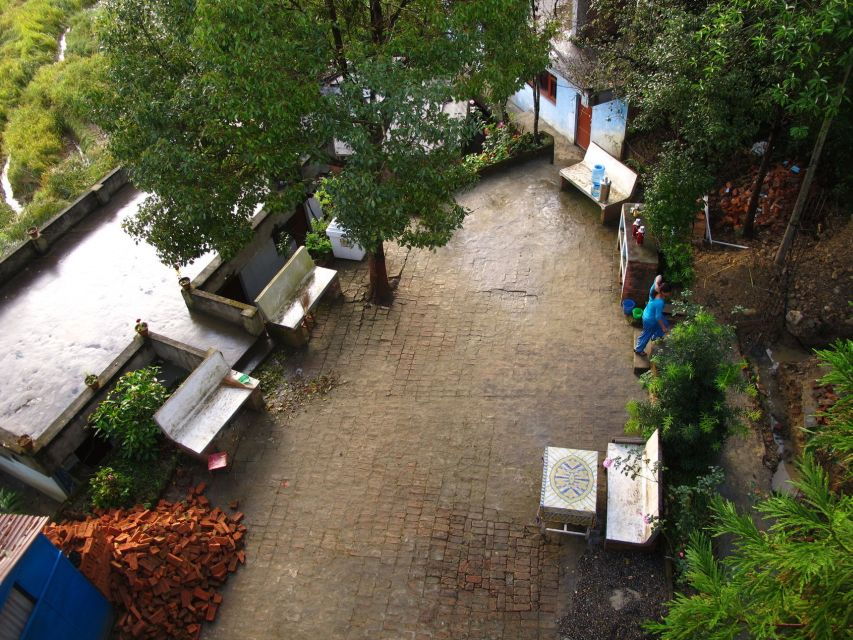 Kathmandu Body, Mind & Soul Full-Day Yoga Experience - Good To Know