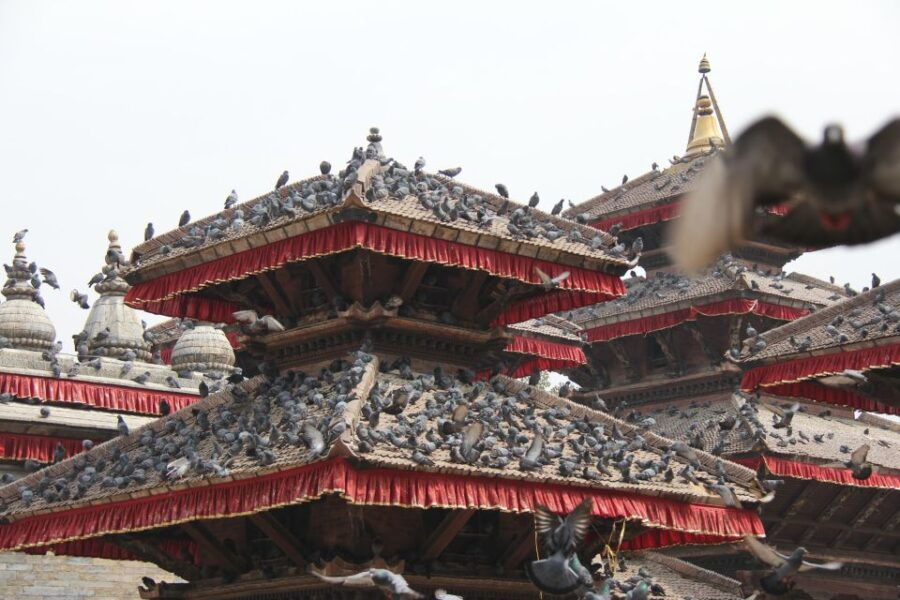 Kathmandu: Day Tour of World Heritage Sites - Good To Know