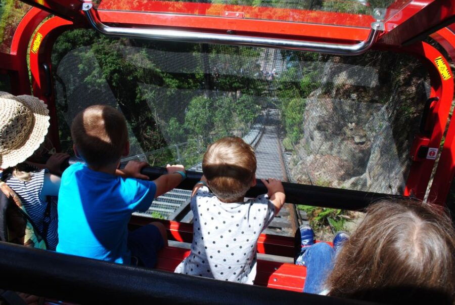 Katoomba: Lyrebird Hop-On Hop-Off and Scenic World Pass