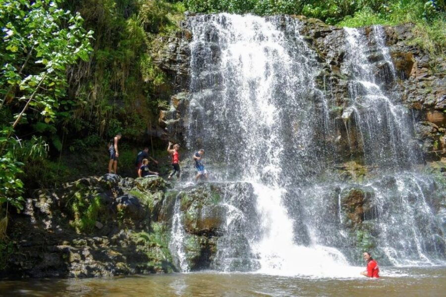 Kauai: Guided Hike and Waterfall Swim - Good To Know