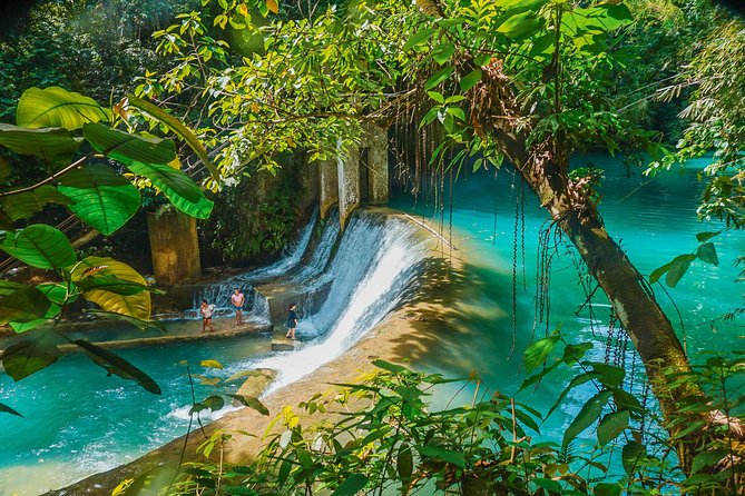 Kawasan Canyoneering, Kawasan Falls and Whaleshark Encounter