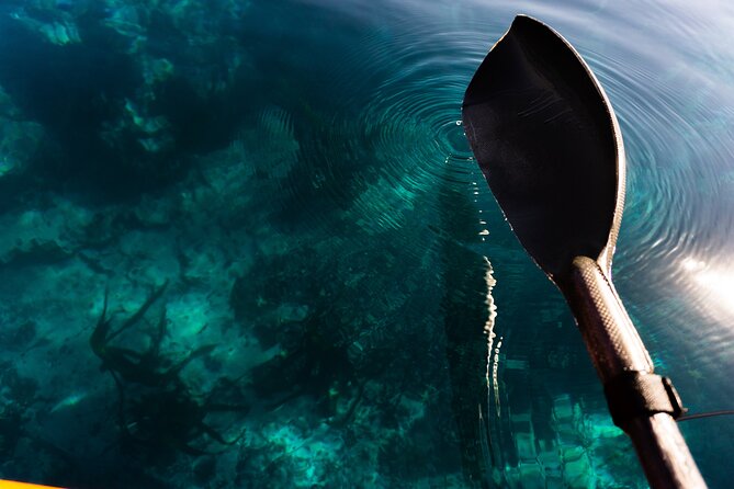 Kayak Adventure in Cape Town, Table Mountain National Reserve - Inclusions