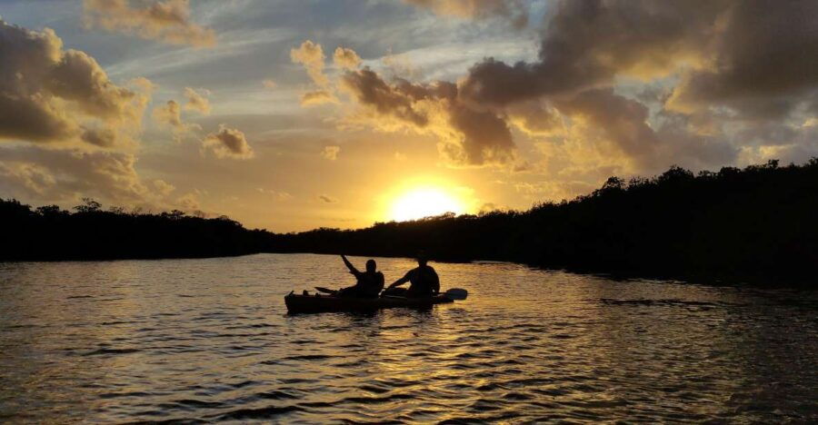 2 Best Canoe And Kayak Experiences In Nichupte Lagoon