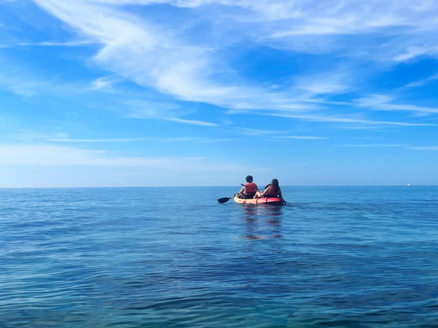 Kayak Tour Playa De Palma - Good To Know